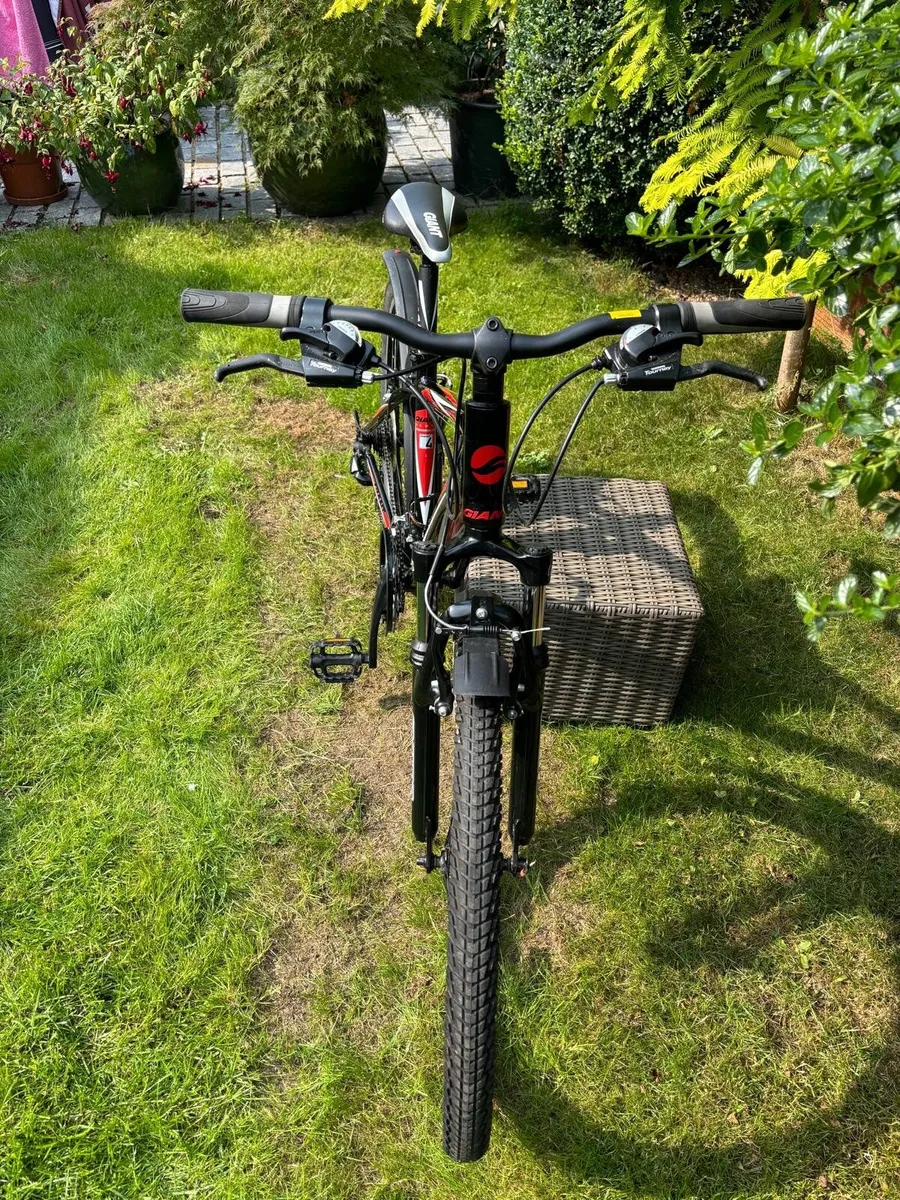 Bicycle - Image 4