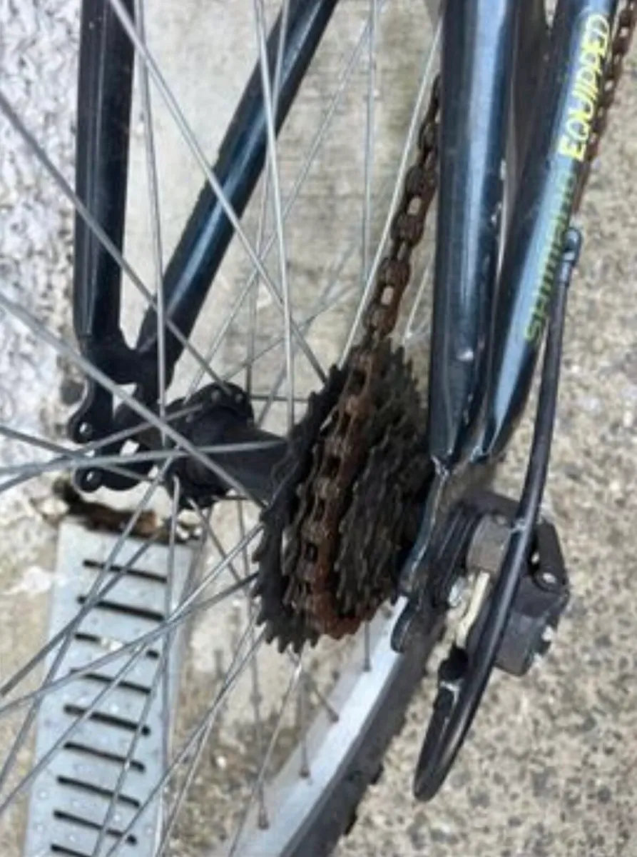 Bike - Image 2