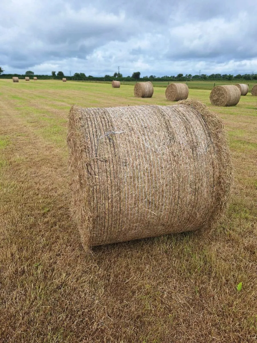 Hay Bales - Image 1