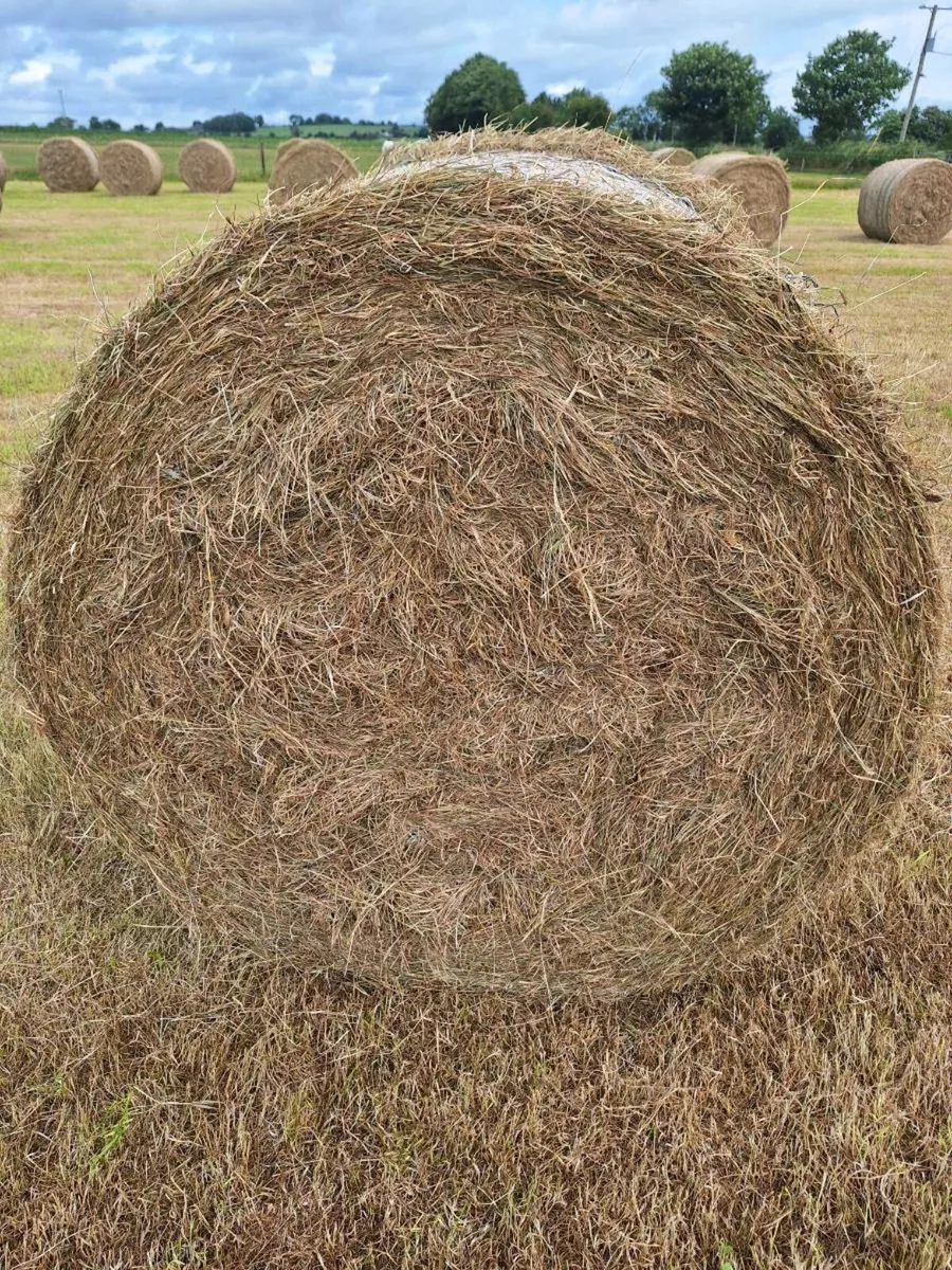 Hay Bales - Image 2