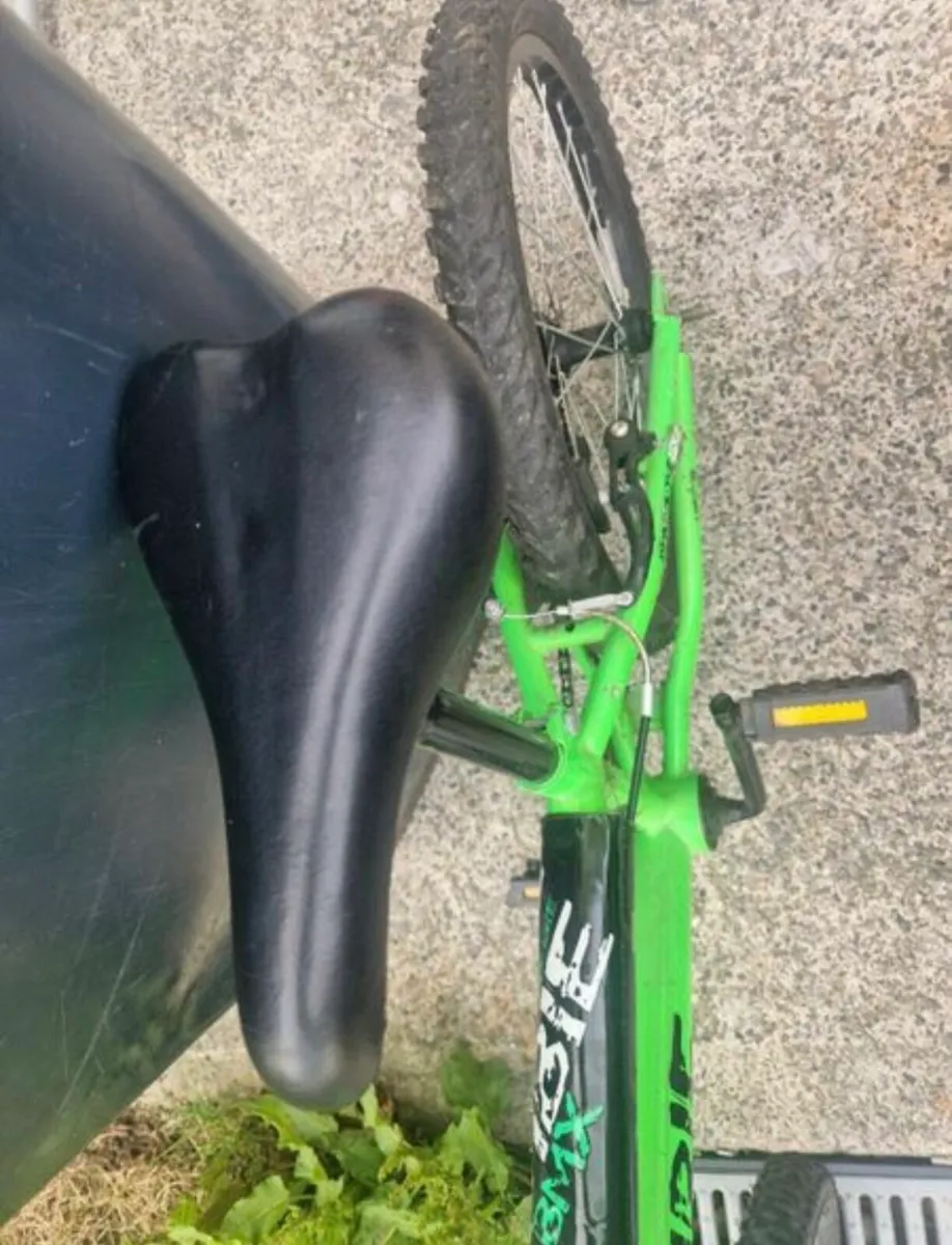 Bike - Image 2