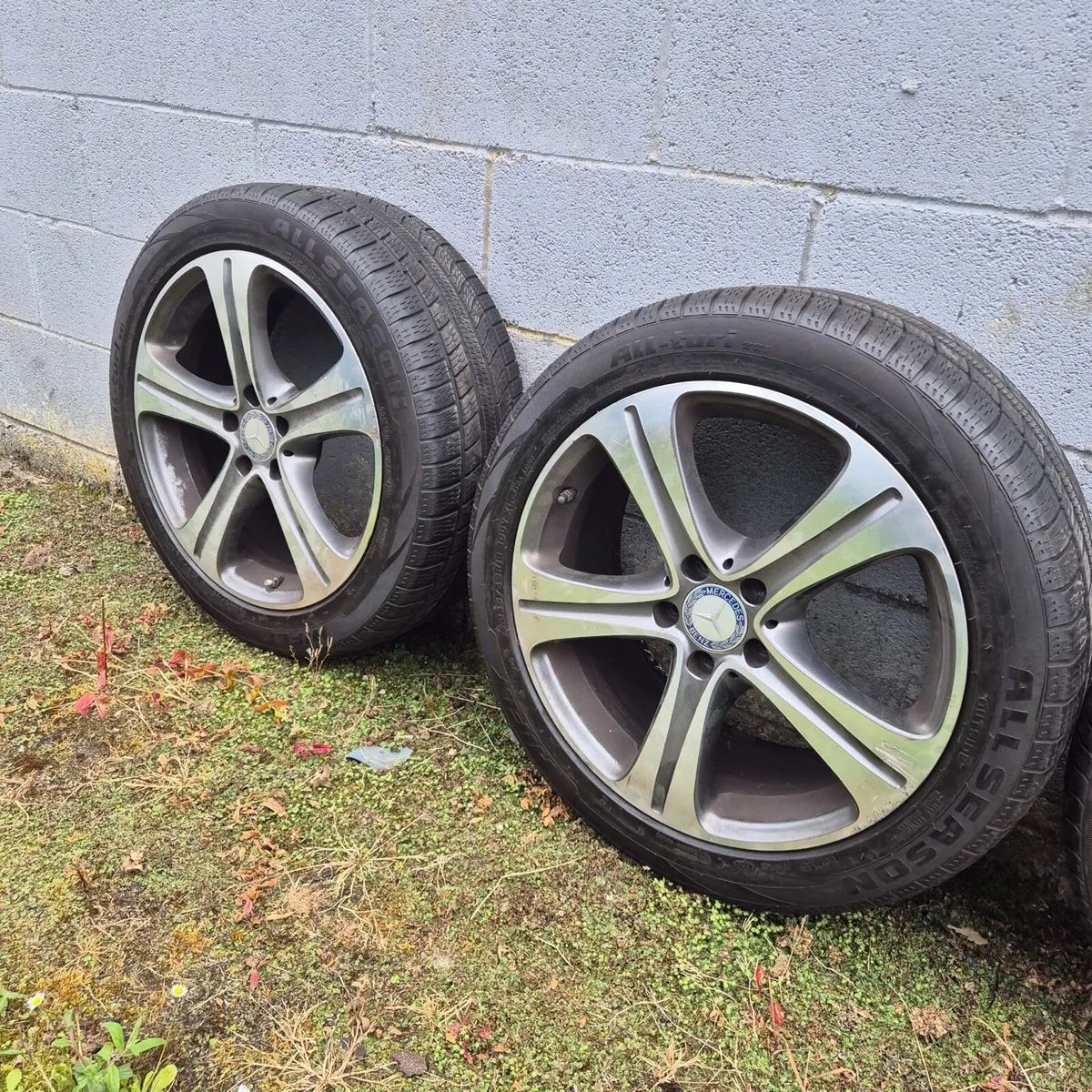 Alloys - Image 2