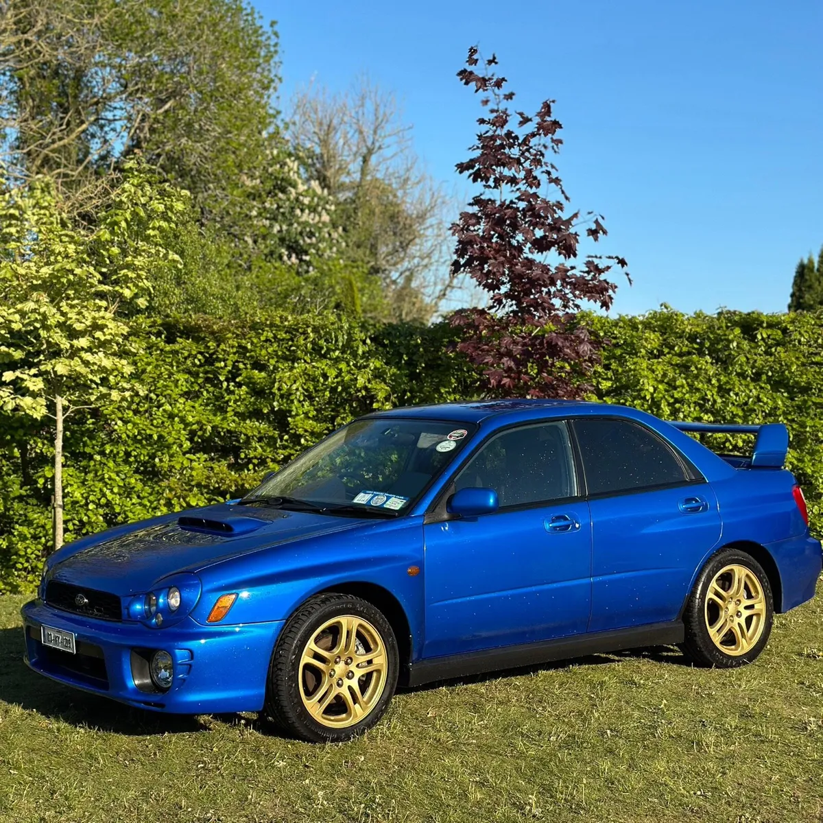 Subaru Impreza WRX bugeye - Image 1