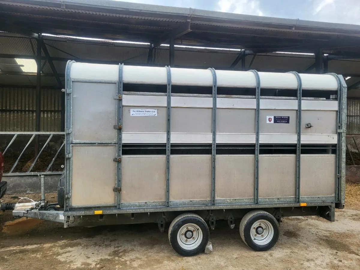 Ifor Williams - Image 1