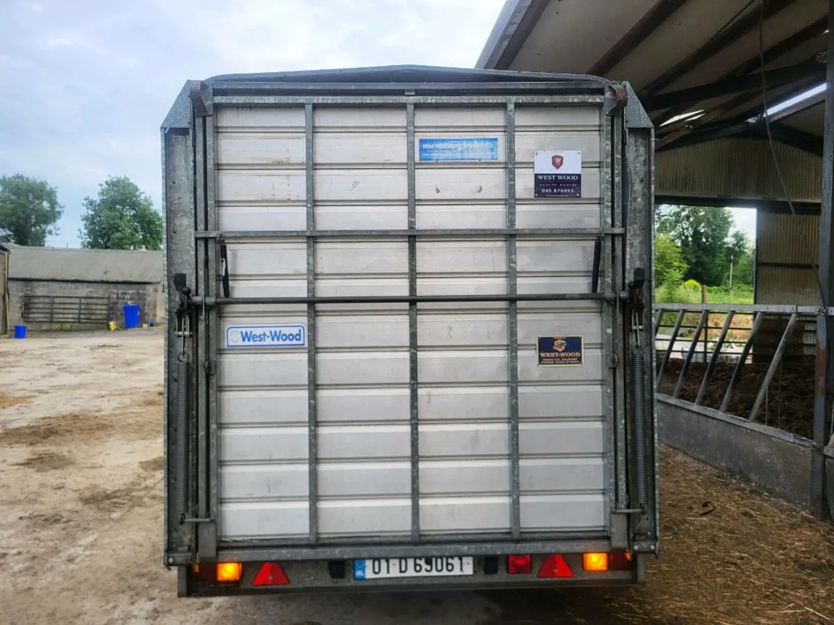Ifor Williams - Image 2