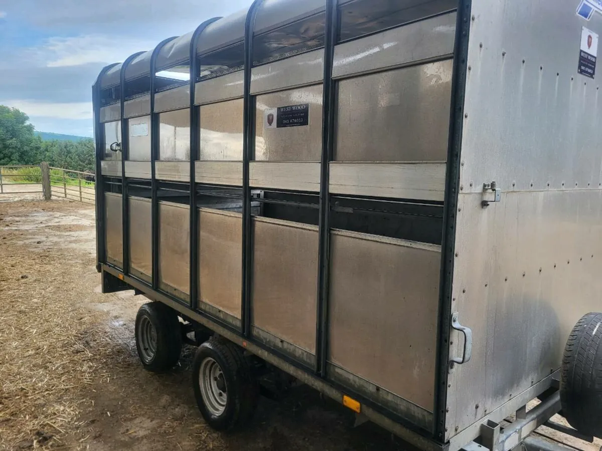 Ifor Williams - Image 3