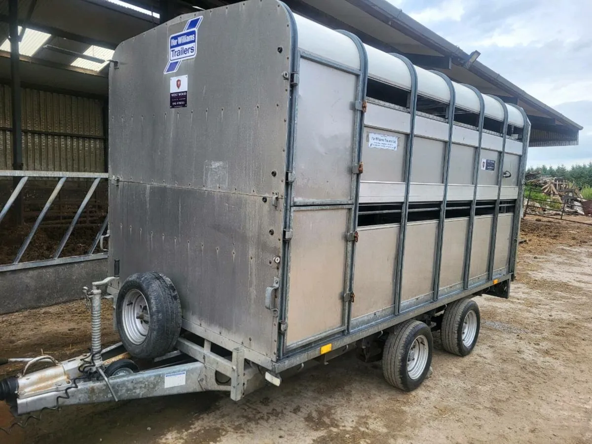 Ifor Williams - Image 4