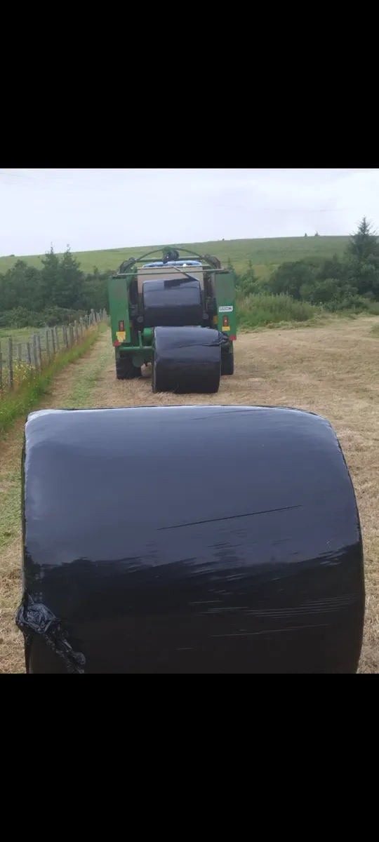 Round Bales of Hay ×12 - Image 2