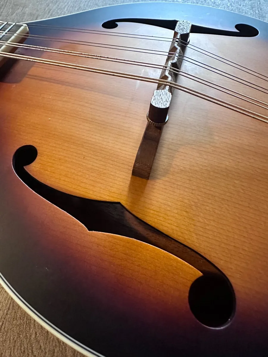 Mandolin - Image 4
