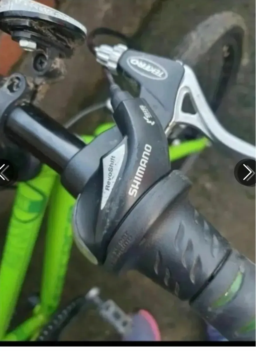 Carrera bike 20 inch kids - Image 3