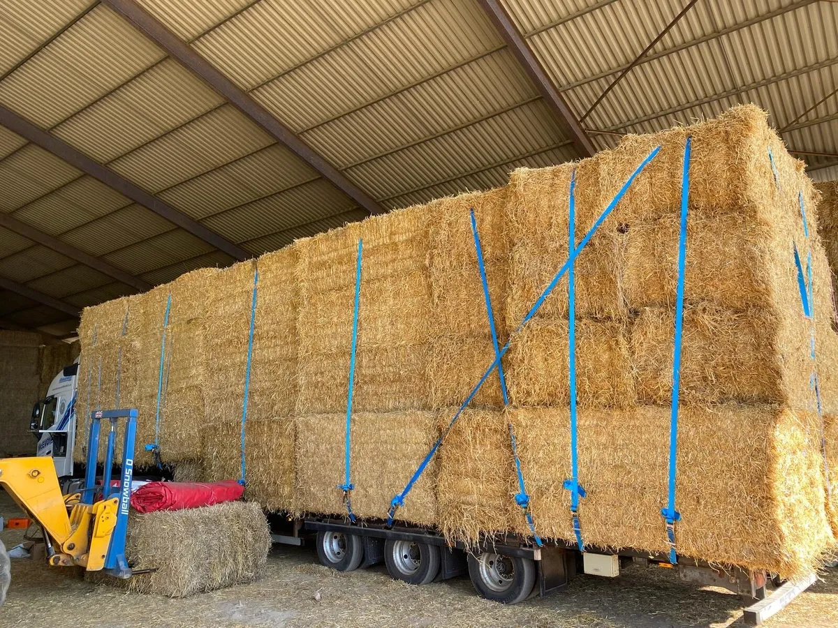 Top Quality Chopped Barley+Wheat Straw - Image 1