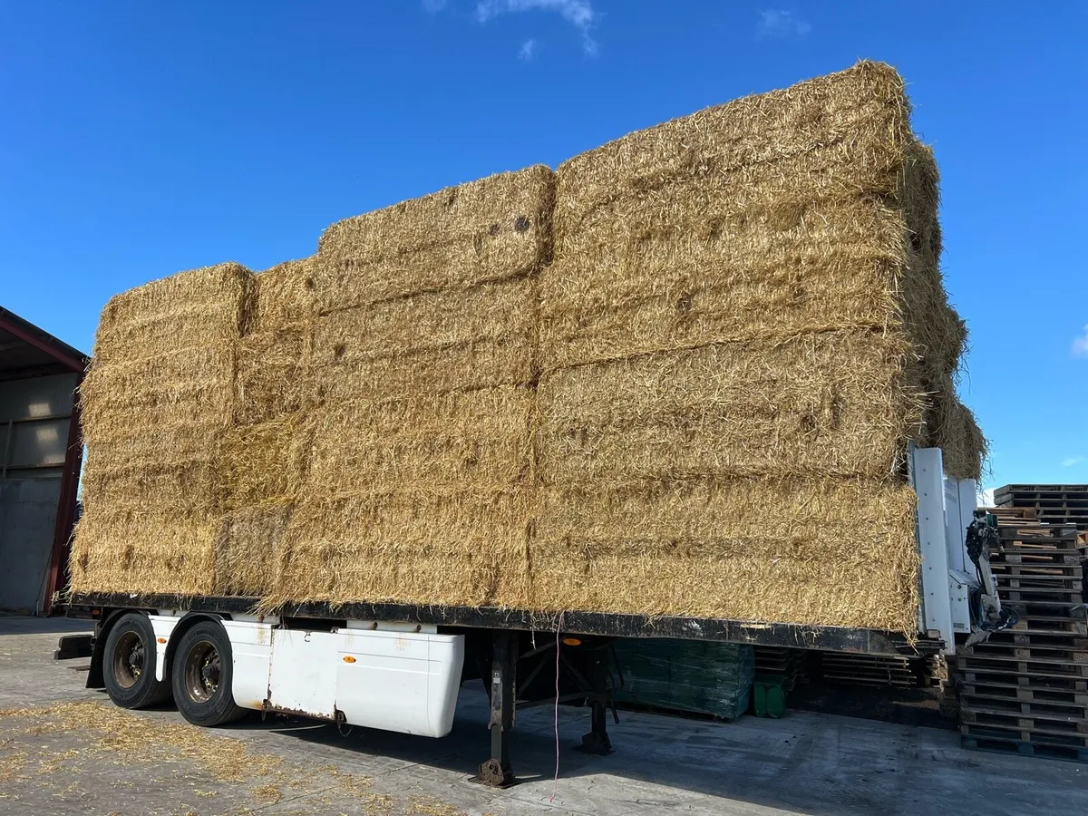 Top Quality Chopped Barley+Wheat Straw - Image 3