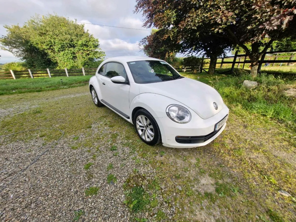 151 volkswagan beetle - Image 1