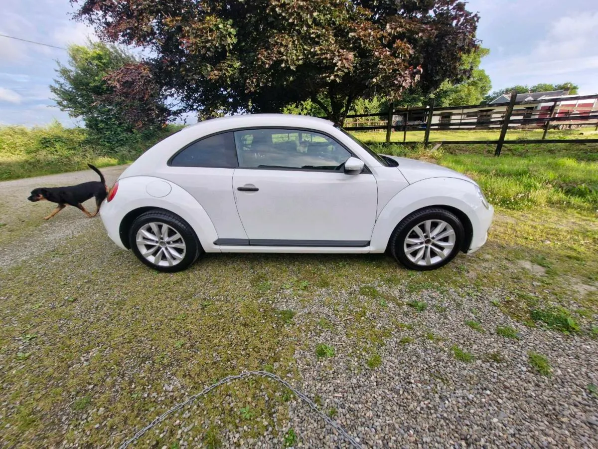 151 volkswagan beetle - Image 2