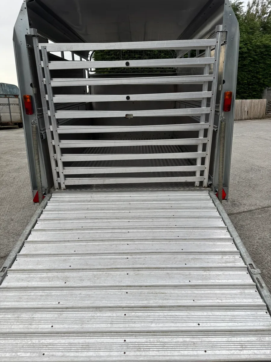 Ifor Williams livestock trailer - Image 3