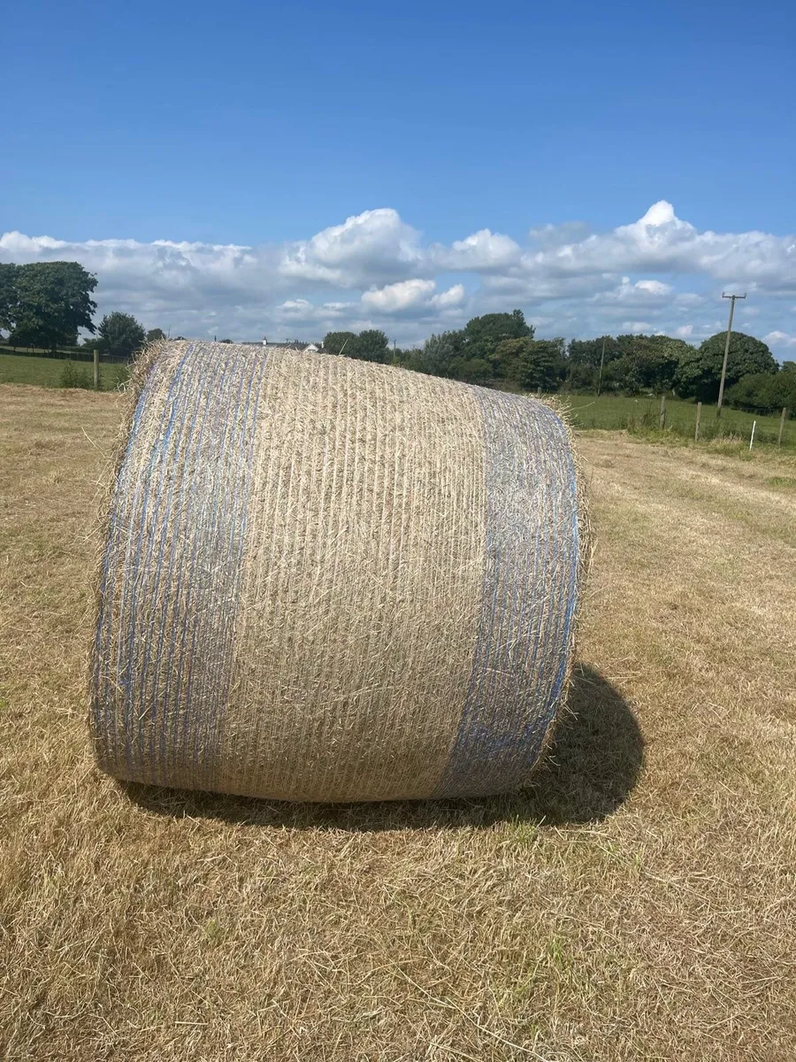 Round bales Hay