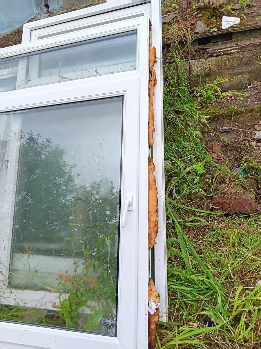 Windows - Image 1