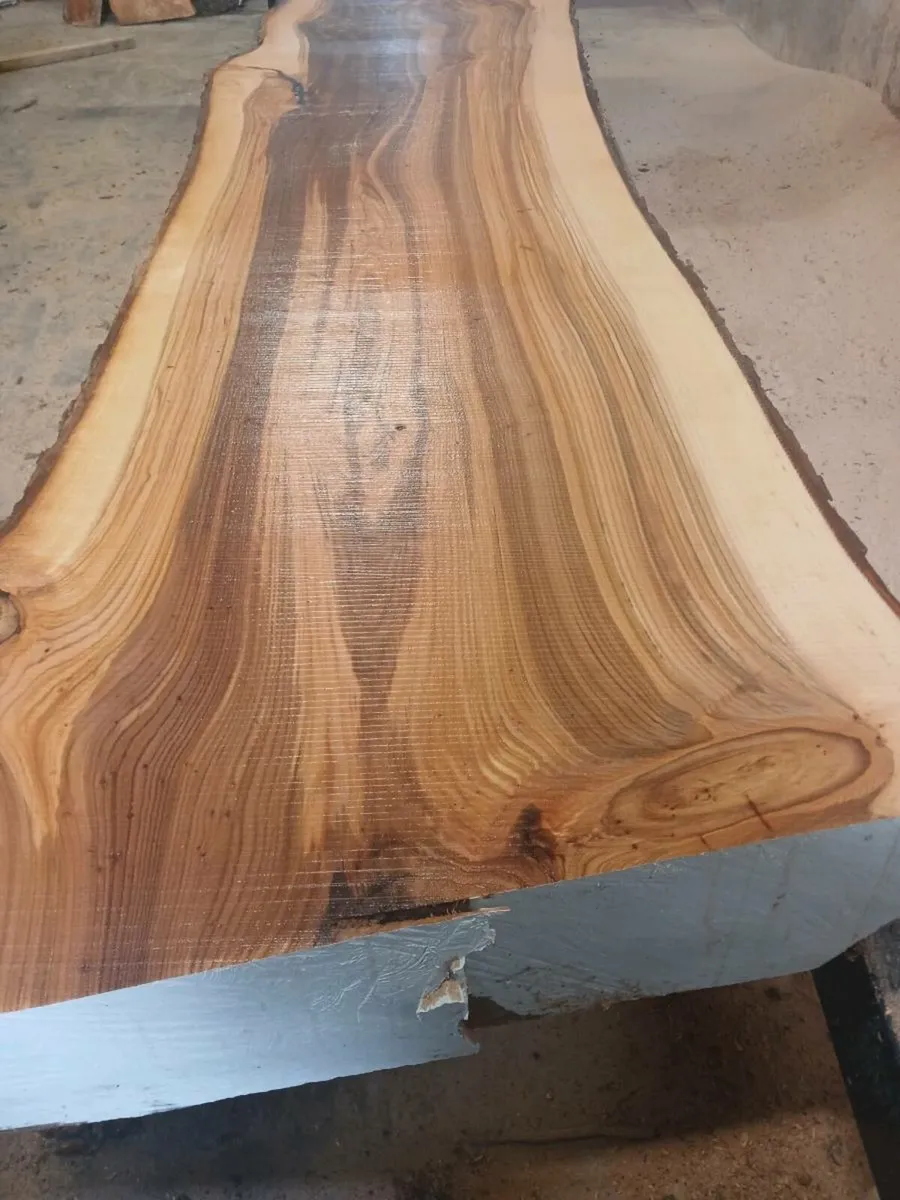 Live edge fresh cut oak slabs - Image 1