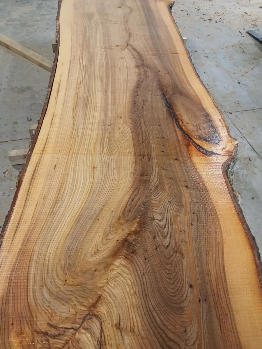 Live edge fresh cut oak slabs - Image 2