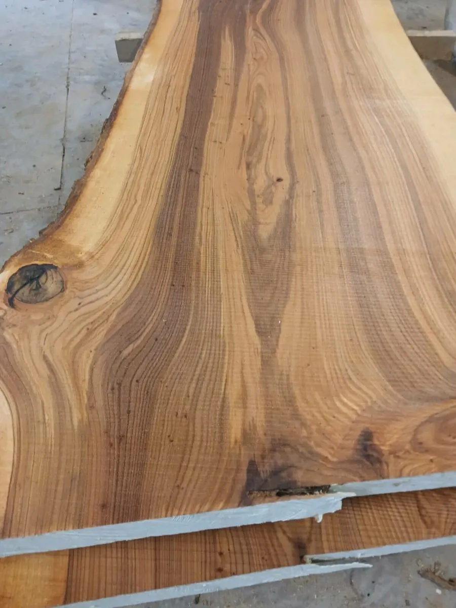 Live edge fresh cut oak slabs - Image 4