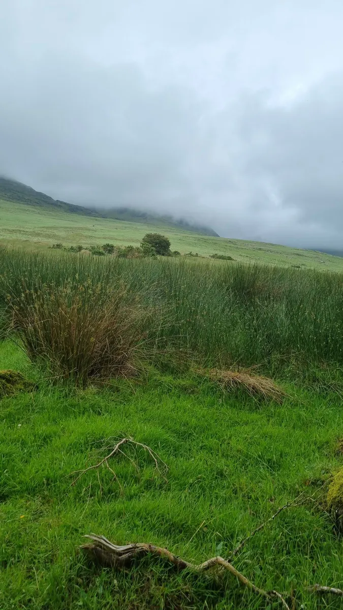 Wanted land for long or short-term lease - Image 1