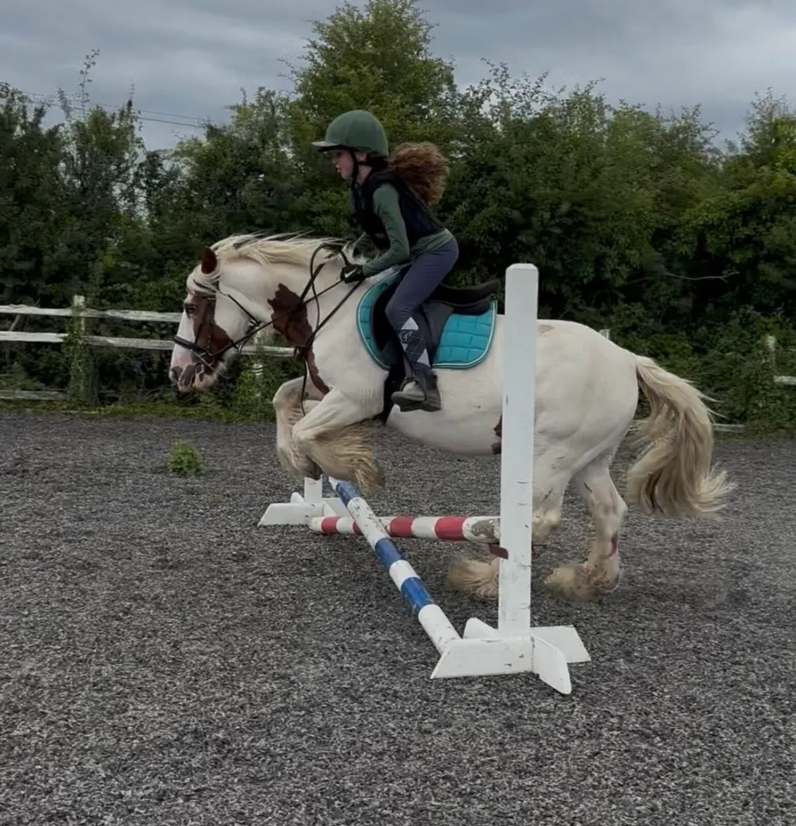 Full up 13.2h beautiful mare - Image 1
