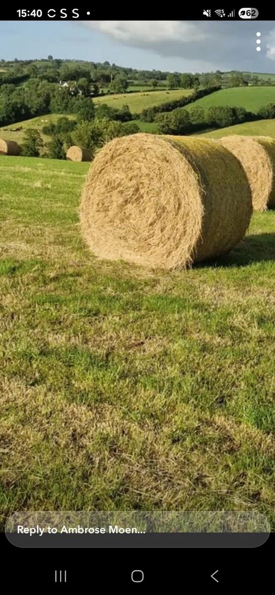 Hay bales