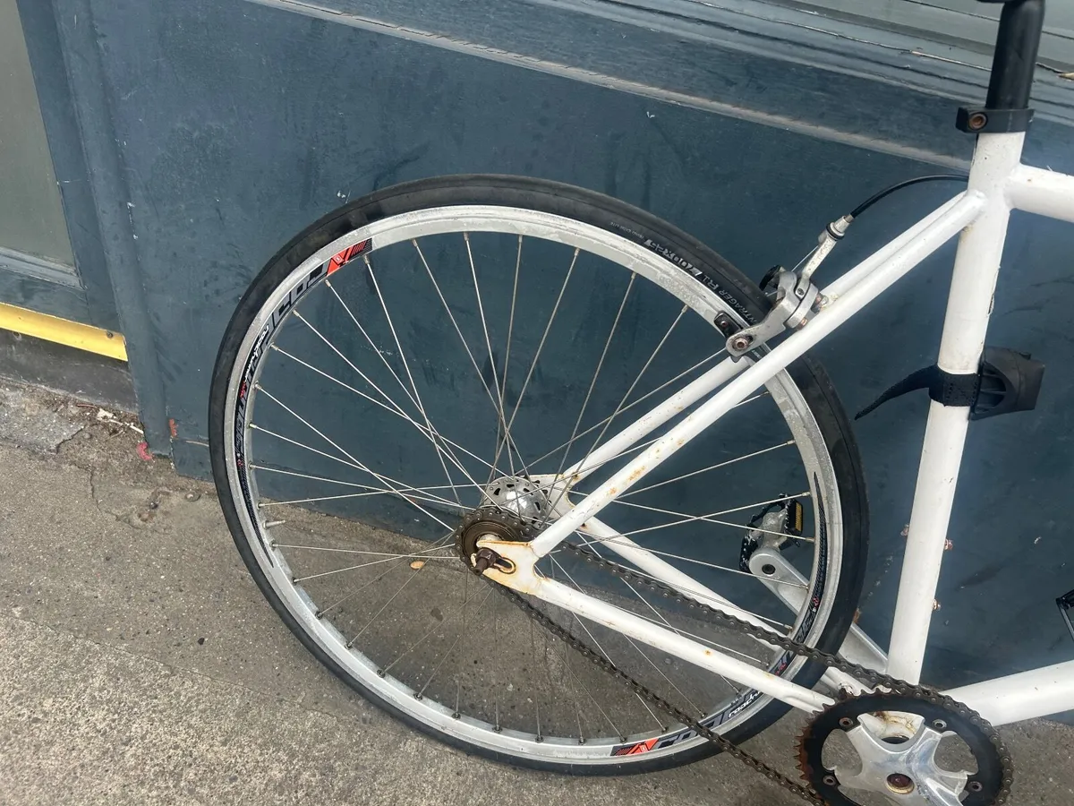 Fixie bike Viking ❗️Open 7 days ❗️ - Image 3
