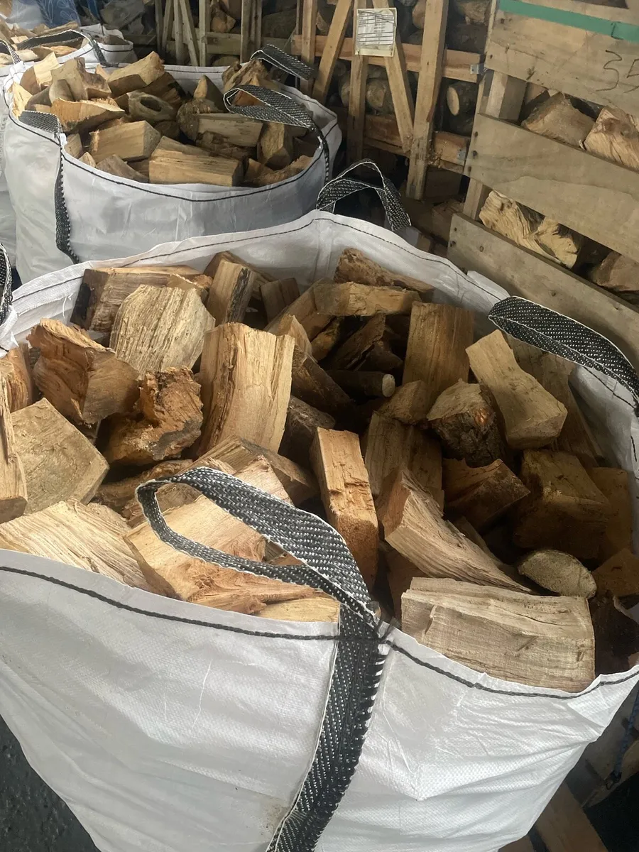 Firewood - Image 3