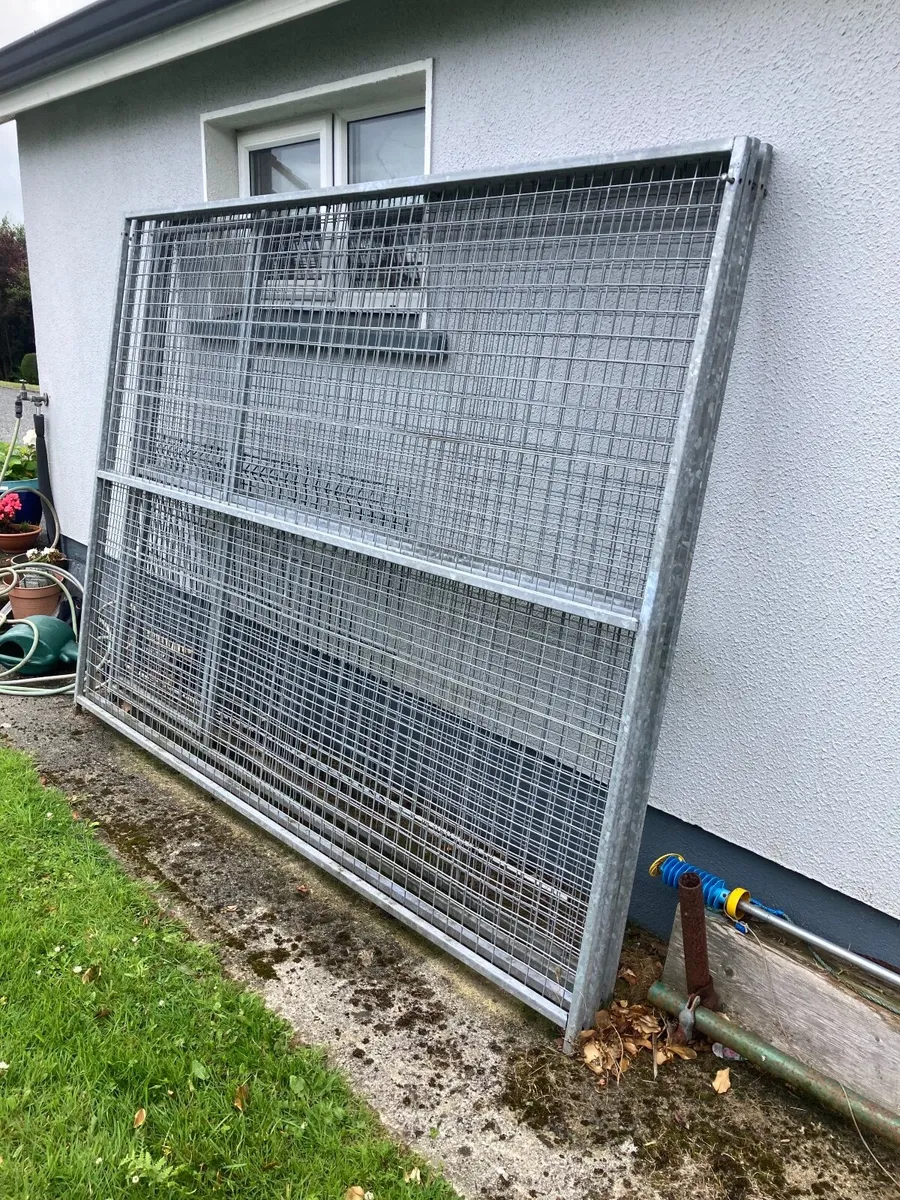 Dog kennel and enclosure - Image 4