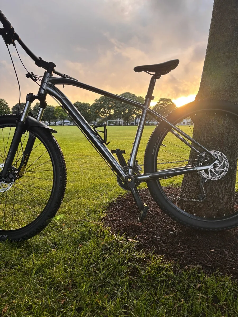 Scott aspect 950 - Image 2