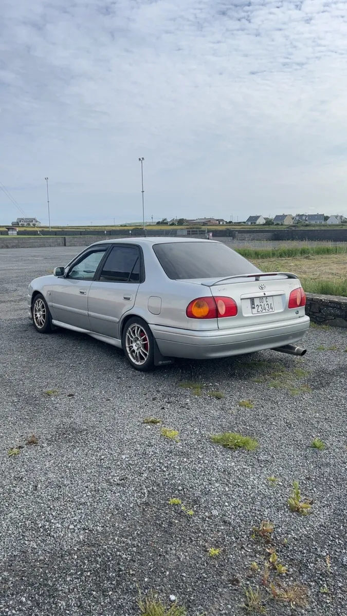Corolla - Image 2