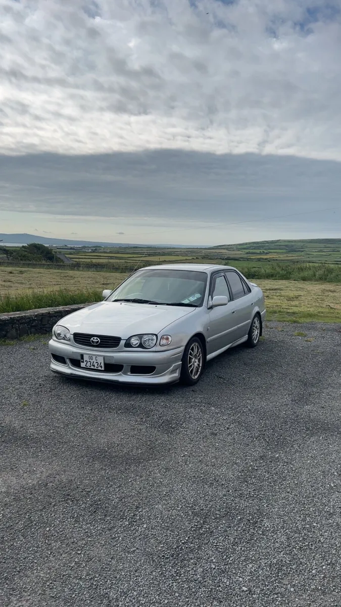 Corolla - Image 4