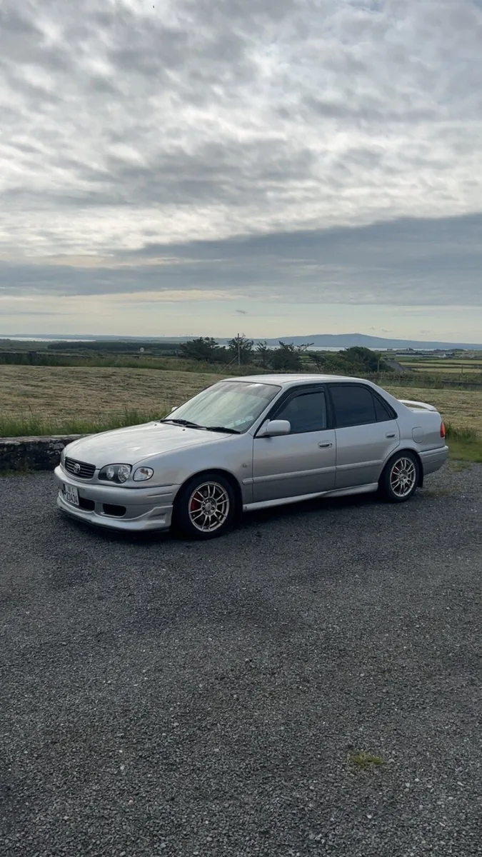 Corolla - Image 1