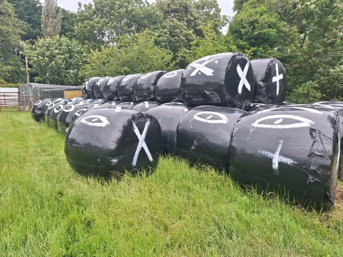 Haylage