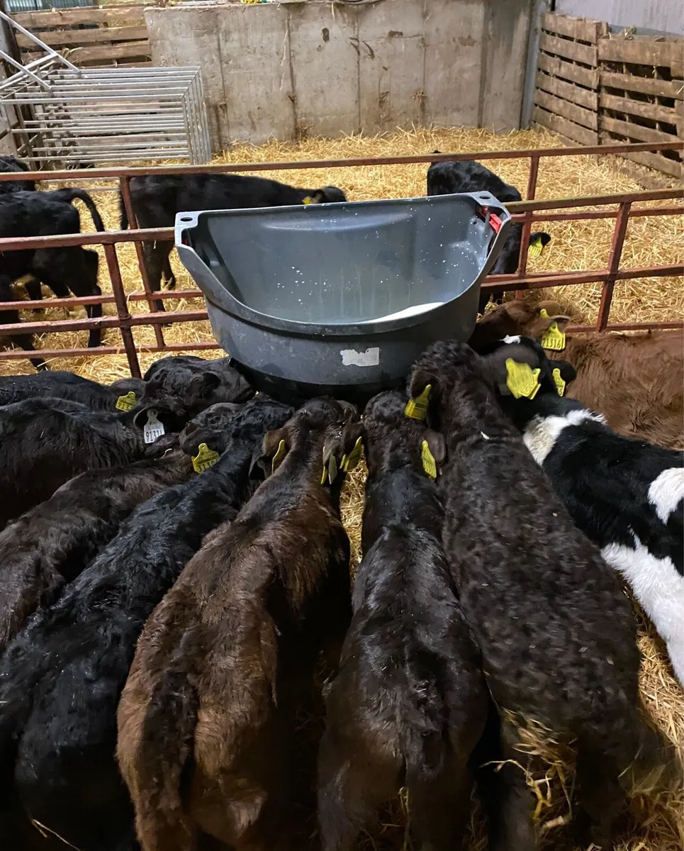 Farm worker / herds person wanted - Image 2