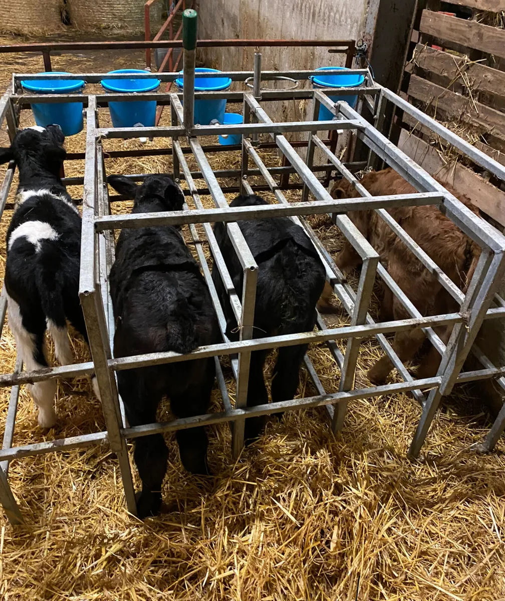 Farm worker / herds person wanted - Image 3