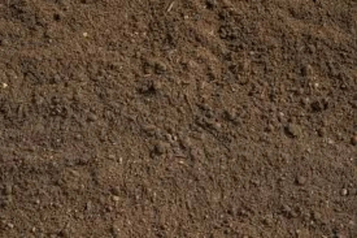 Free Top Soil