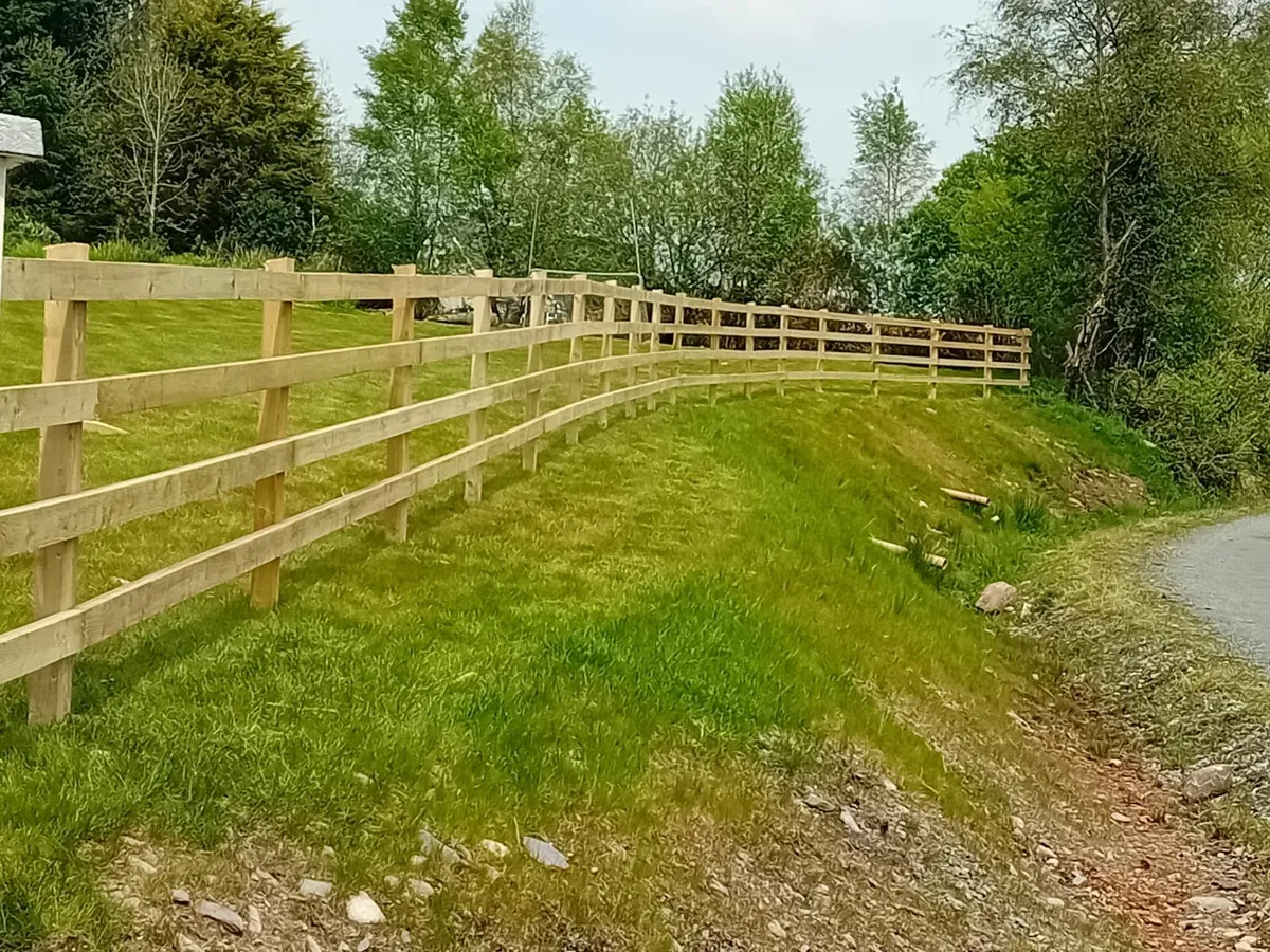 Fencing - Image 1
