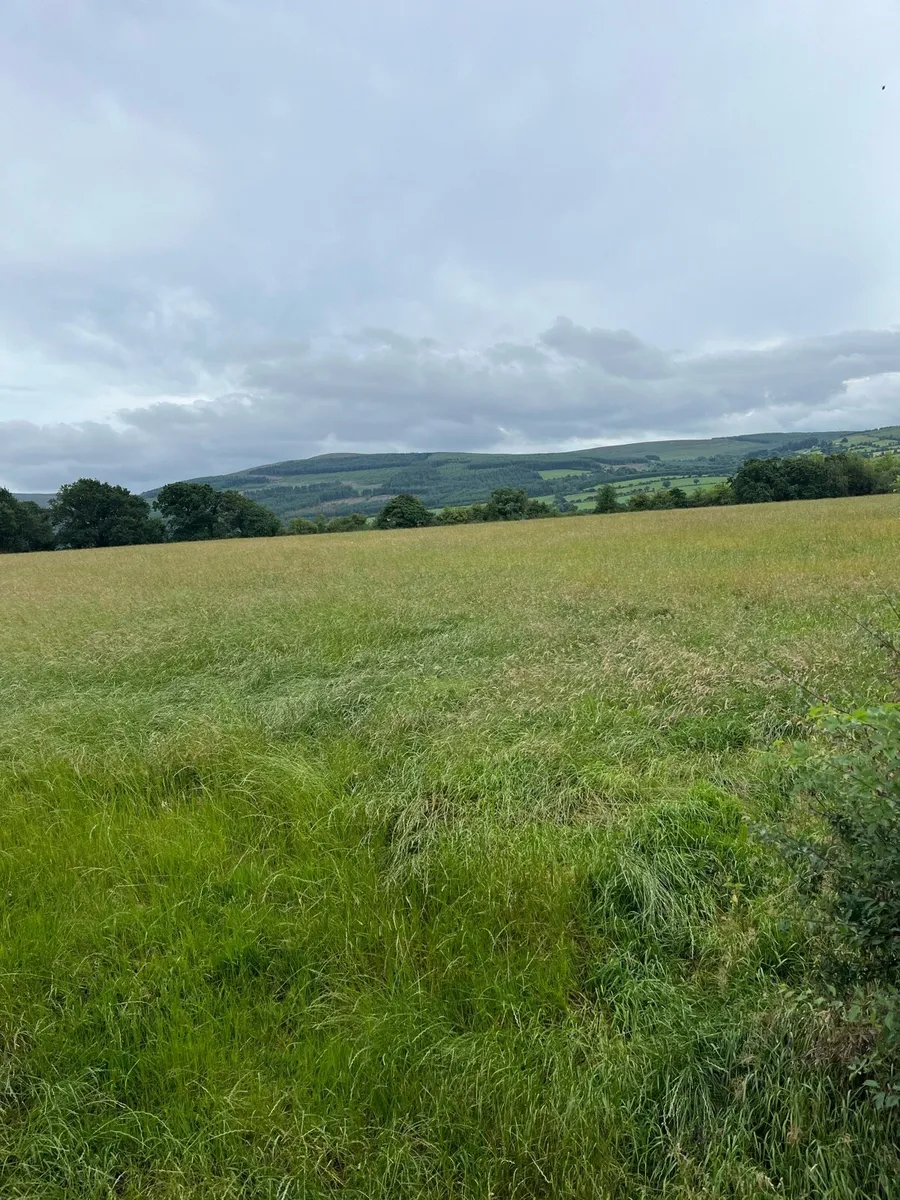 8 Acres of Silage/Hay