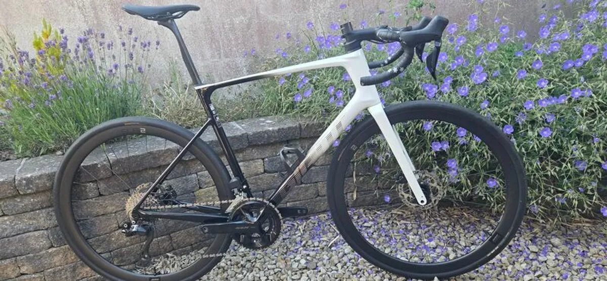 Giant Defy Pro 1 Large - Image 2