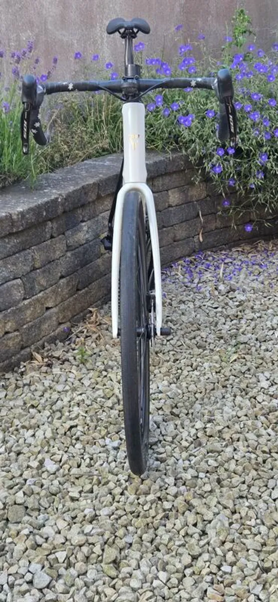 Giant Defy Pro 1 Large - Image 4