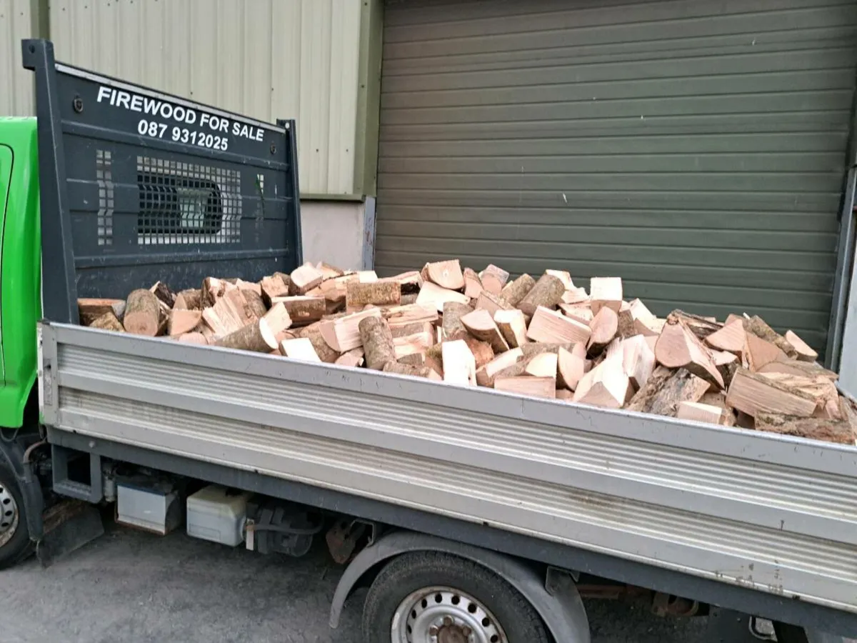 Ash Firewood - Image 1
