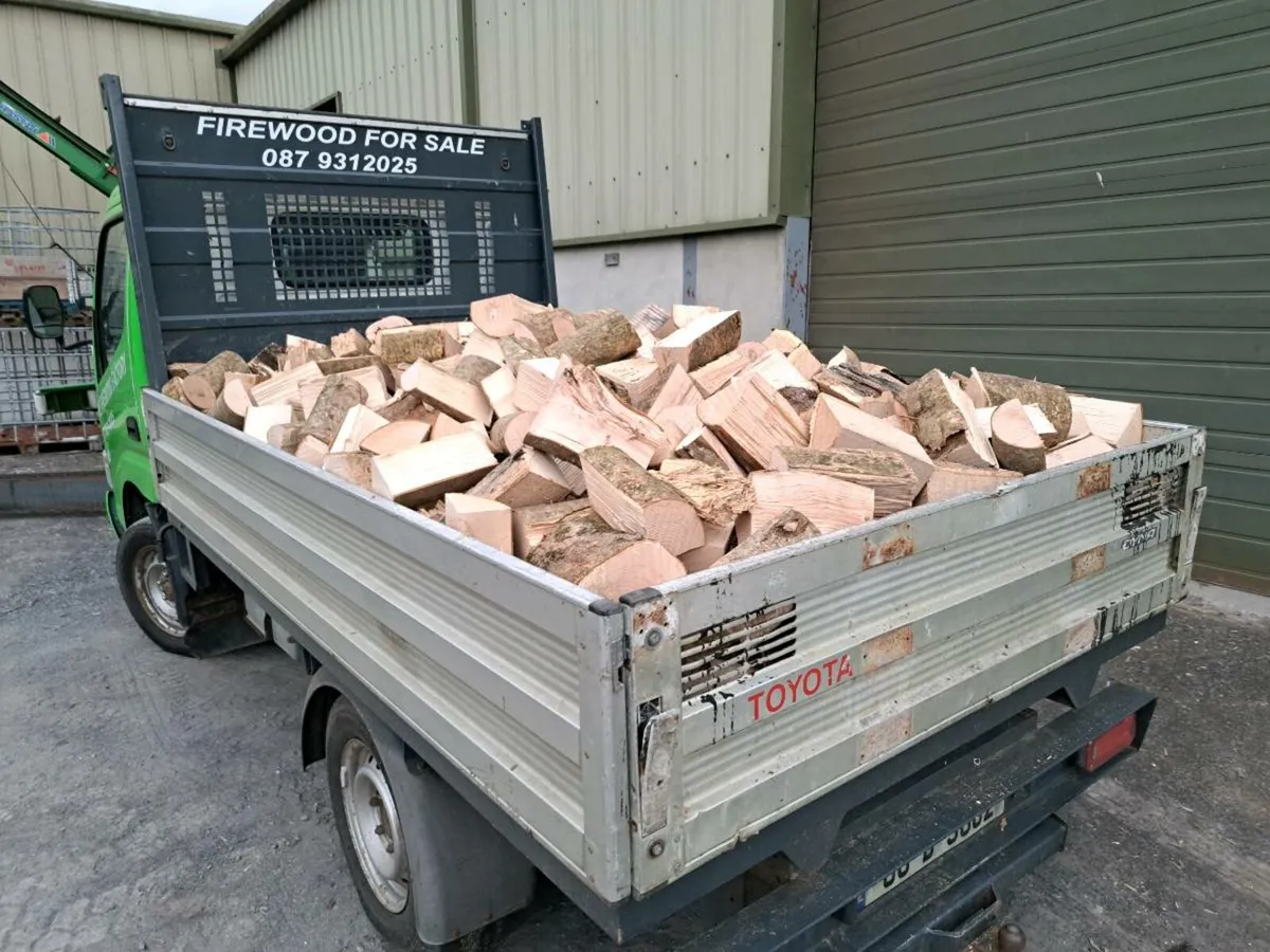 Ash Firewood - Image 2