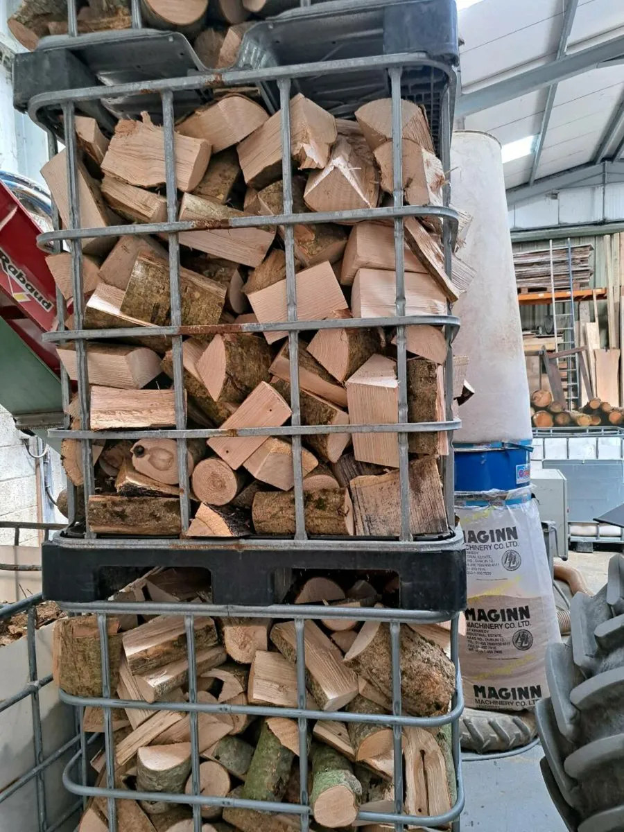 Ash Firewood - Image 3