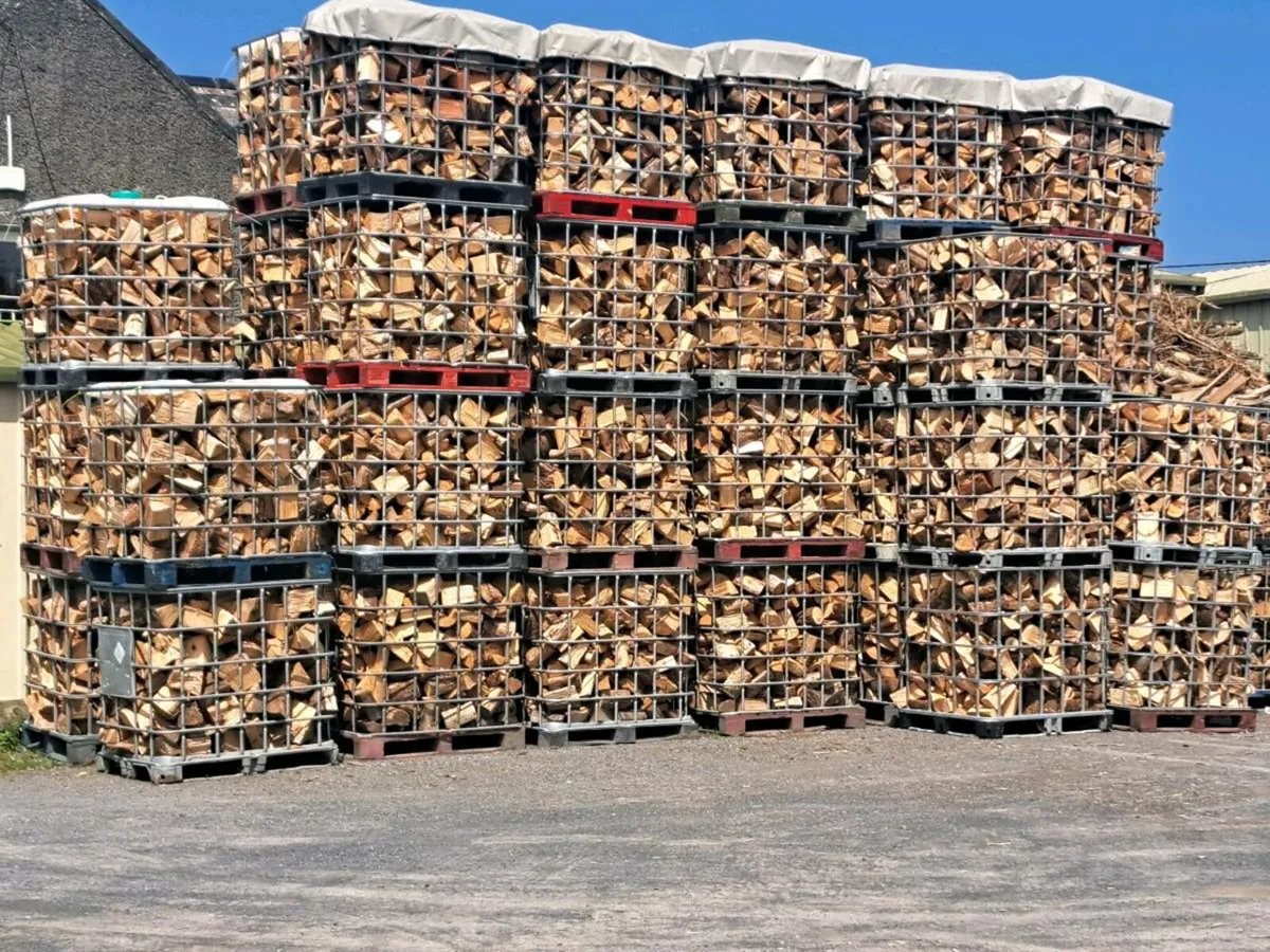 Ash Firewood - Image 4