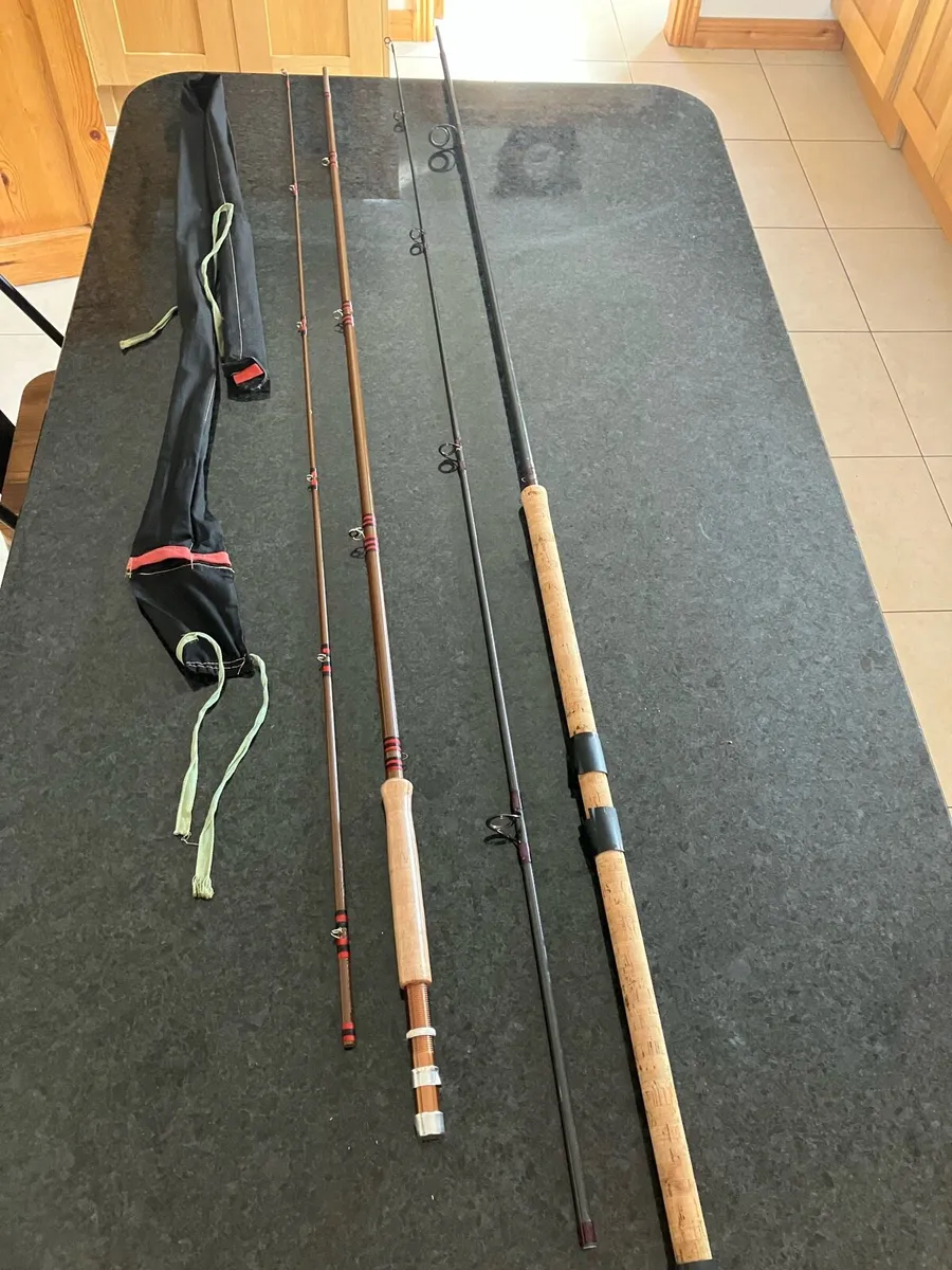 Fishing rods - Image 1