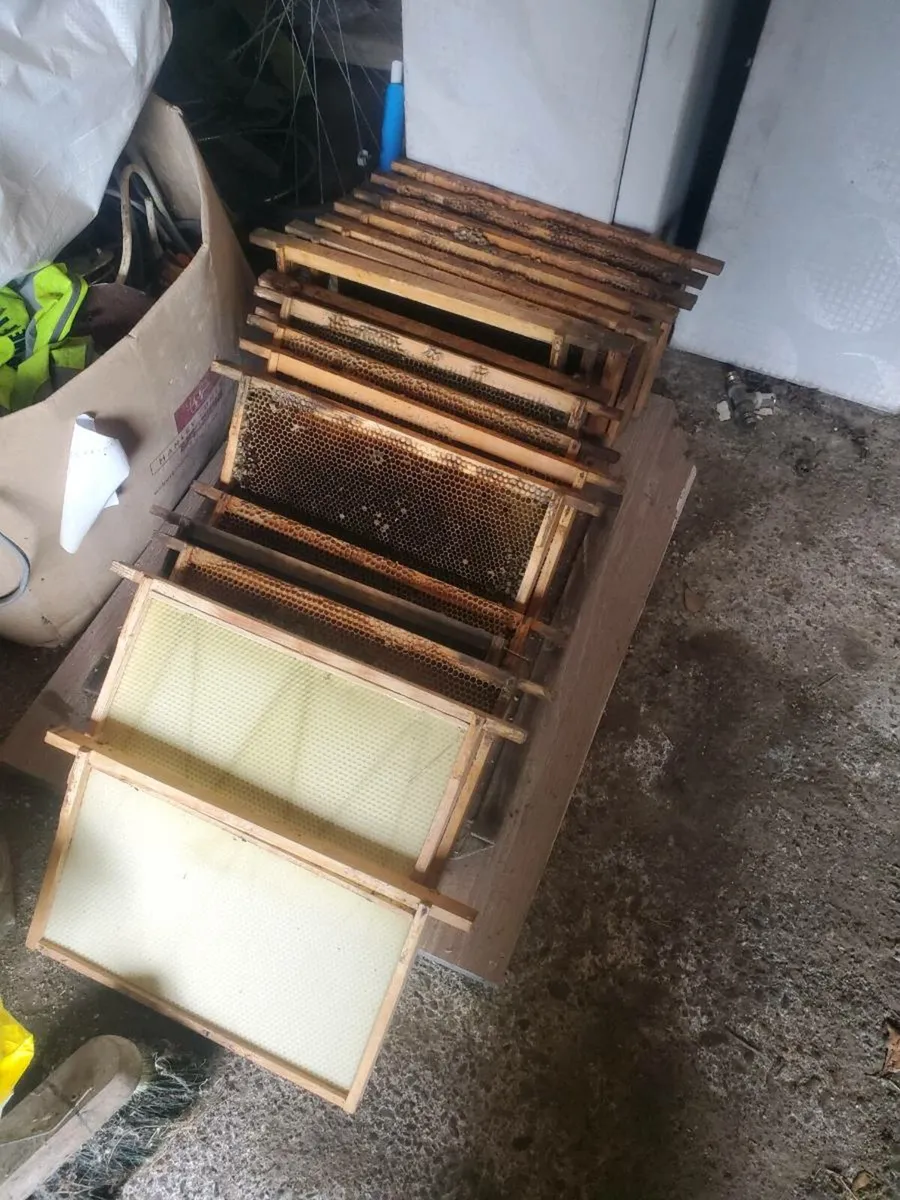 Bee keeping equipment - Image 3