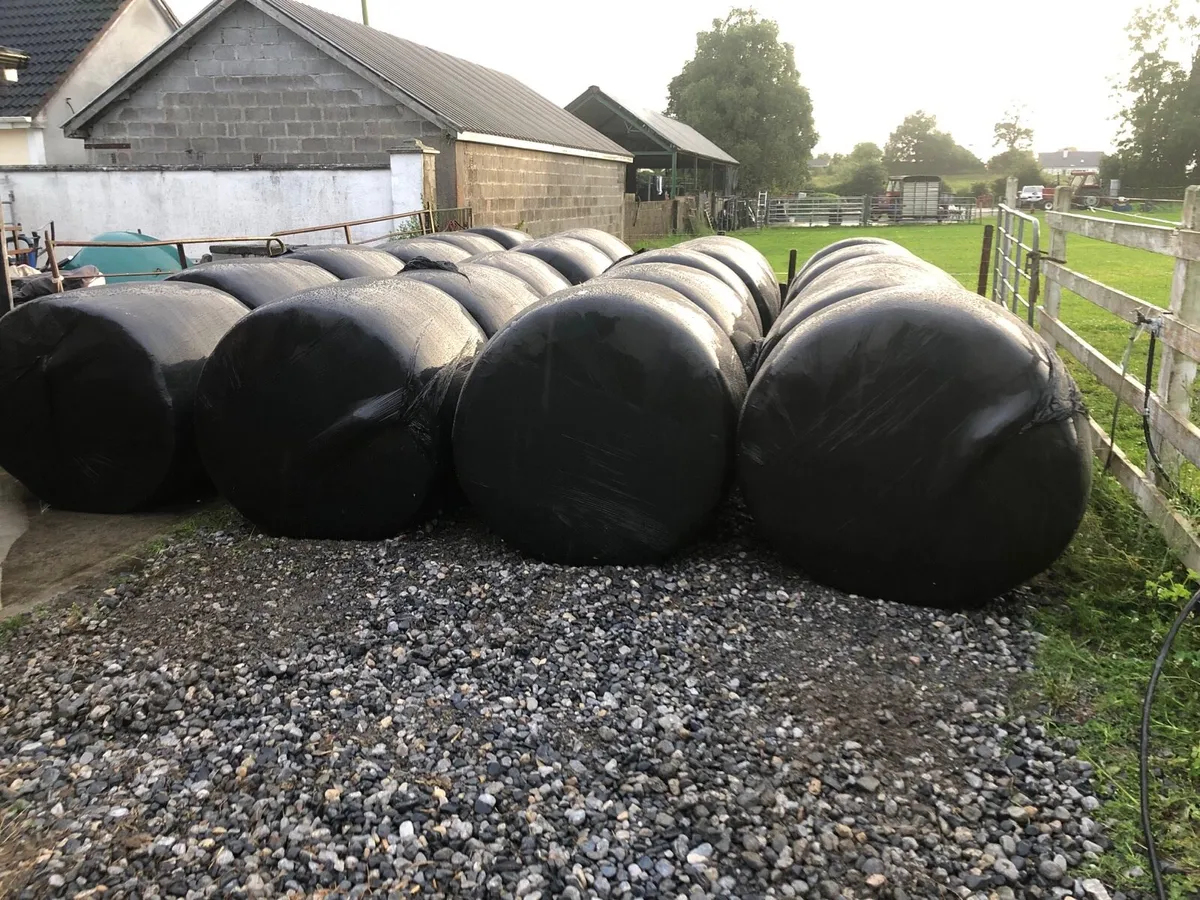 Bales of Quality Silage - Image 3