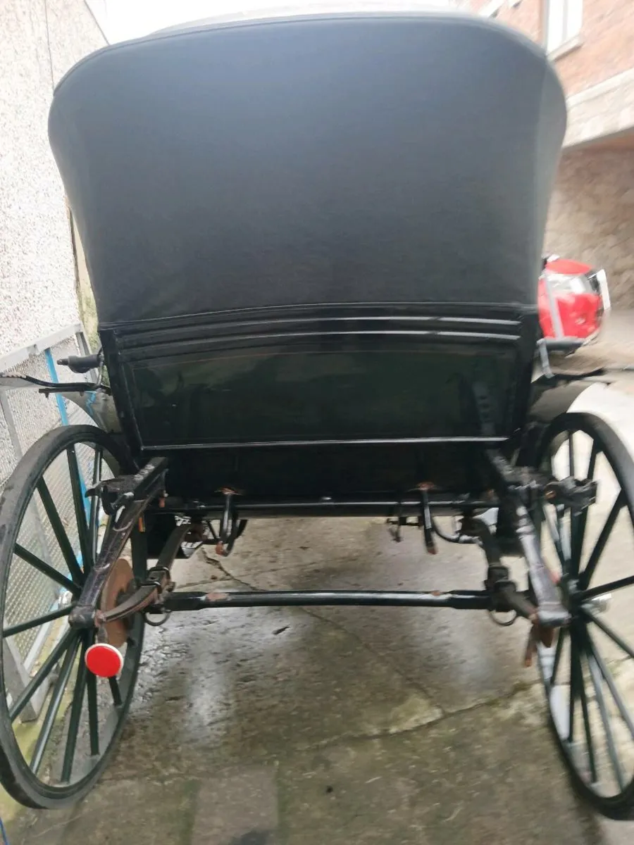 Victoria carriage - Image 2
